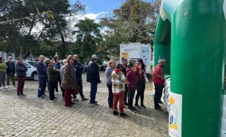 Distribuição de mudas atrai grande público no Parque da Baronesa