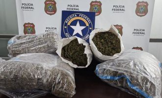 Mais uma carga de skunk apreendida na rota do Chuí