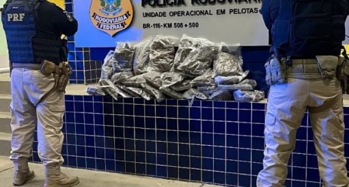 PRF apreende quase 10 kg de Skunk em Pelotas