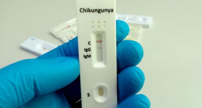 Pelotas registra primeiro caso de chikungunya