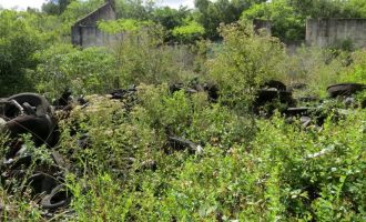 Prefeitura recolhe carga de pneus na Francisco Caruccio