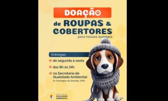 Campanha arrecada agasalhos para cães do Canil Municipal