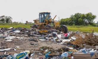 Jardim Europa ganha mutirão nesta quarta-feira