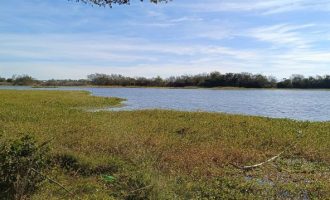 Pelotas realiza evento preparatório para a COP30