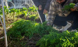 Cras da Z3 se caracteriza pela integração com a comunidade