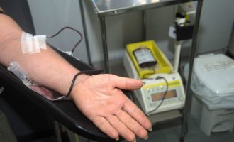 Programação musical do Hemopel incentiva doação de sangue