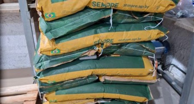 Pelotas começa a receber sementes do programa Milho 100%