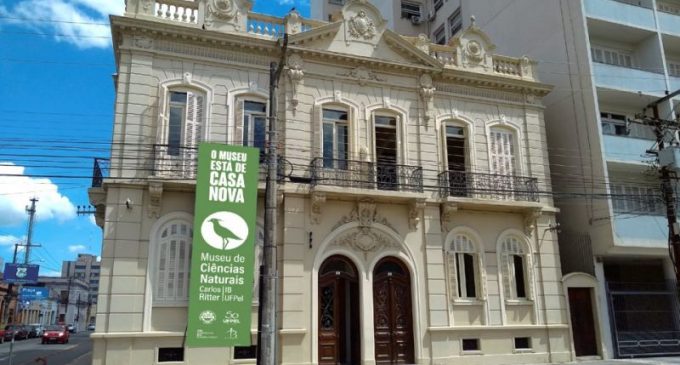 Museu Carlos Ritter promove roda de conversa “Preservando o Bioma Pampa”