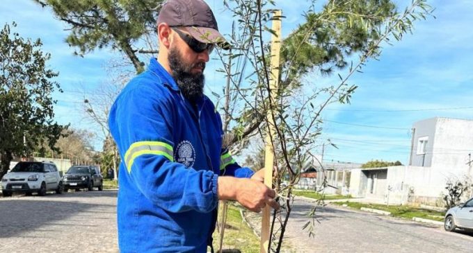 Inicia plantio de árvores nativas na avenida Rio Grande do Sul, no Laranjal