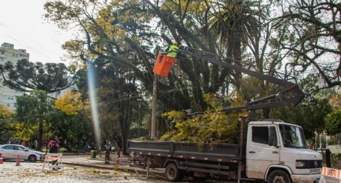 SQA realiza manejo arbóreo em áreas centrais de Pelotas