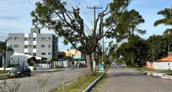 SQA substitui árvores exóticas por espécies nativas no Laranjal