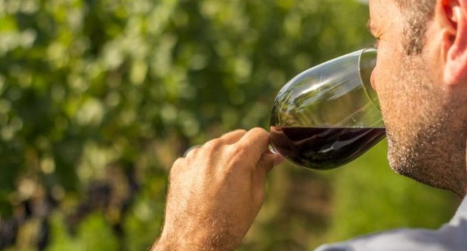 Pelotas recebe 1ª Mostra de Vinhos, Sucos e Derivados