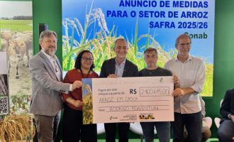 Conab anuncia R$ 300 milhões para produtores de arroz na safra 2025/26