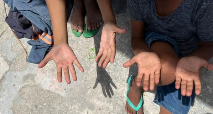 Trabalho infantil no país cai 21,4% em oito anos, mostra IBGE