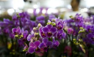 Primavera começa com chegada de frente fria, temporais e fortes ventos