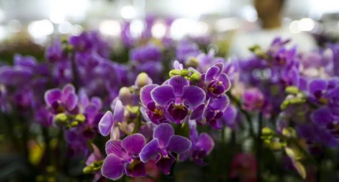 Primavera começa com chegada de frente fria, temporais e fortes ventos