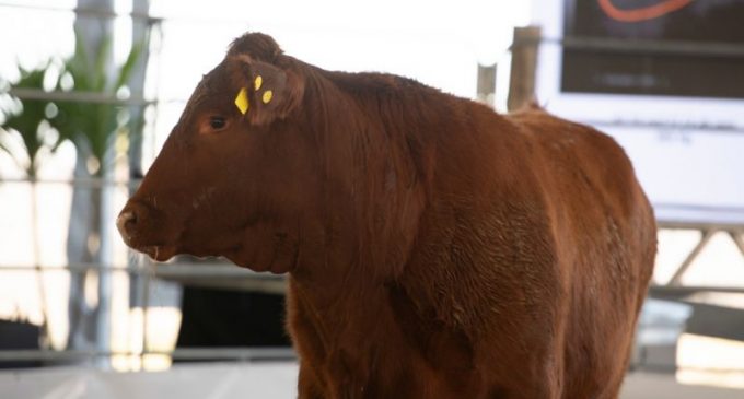 ANC divulga data da terceira edição da Fenagen Promebo