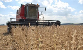 Rio Grande do Sul poderá ter safra recorde de grãos, estima Conab