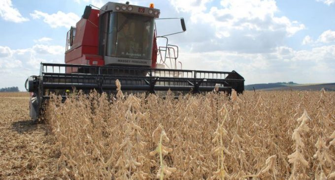 Rio Grande do Sul poderá ter safra recorde de grãos, estima Conab