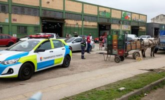 Prefeitura de Pelotas fiscaliza charretes e orienta condutores