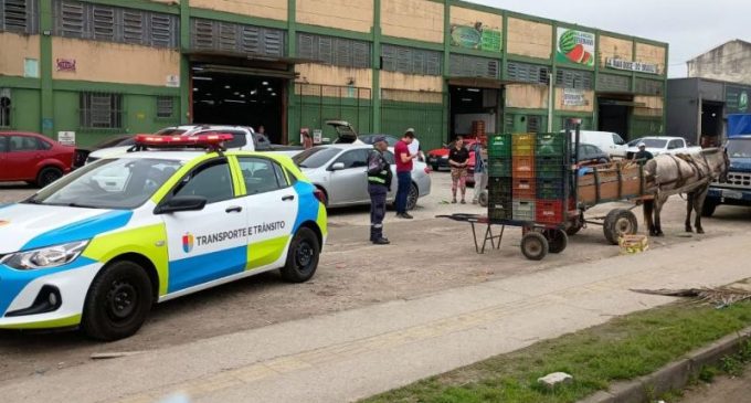 Prefeitura de Pelotas fiscaliza charretes e orienta condutores