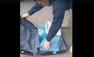 PRF apreende 20 quilos de maconha em Pelotas