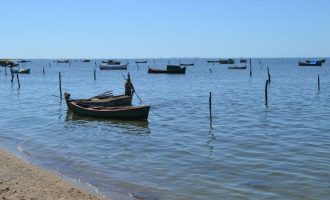 Justiça Federal mantém proibição de pesca de bagres na Lagoa dos Patos