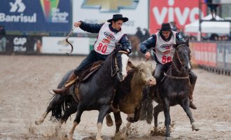 Justiça proíbe eventos com perseguição a animais em todo o RS