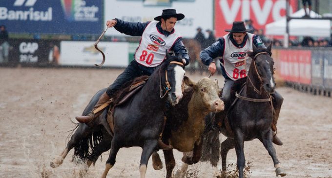 Justiça proíbe eventos com perseguição a animais em todo o RS