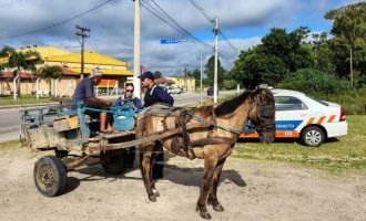 Prefeitura trata da educação para o trânsito com charreteiros
