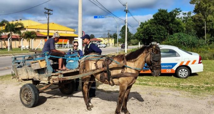 Prefeitura trata da educação para o trânsito com charreteiros