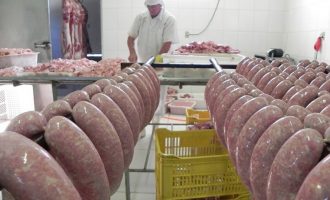 Agroindústria pelotense receberá certificado de integração ao Sisbi