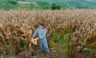 Prefeitura divulga lista dos contemplados do Terra Forte