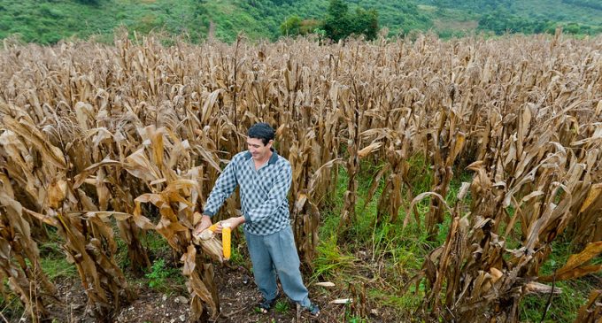 Prefeitura divulga lista dos contemplados do Terra Forte