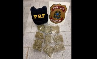 PRF e PF prendem uruguaio com skunk em Arroio Grande