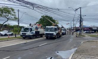 CEEE Equatorial está mobilizada em toda a área de concessão diante dos fortes ventos causados pelo ciclone extratropical