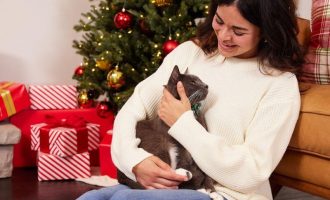 Cuidados essenciais para garantir o bem-estar dos pets durante as festas de fim de ano