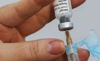 HE-UFPel inicia recrutamento de voluntários para estudo clínico de vacina contra dengue