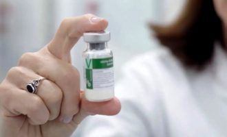 Centro de Pesquisas Clínicas do HE-UFPel integrou etapa decisiva para a aprovação da vacina contra dengue do Instituto Butantan