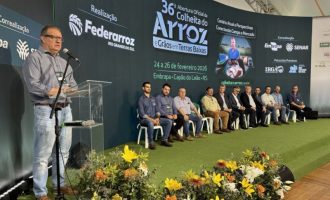 Abertura da 36ª Colheita do Arroz dá início a três dias de programação