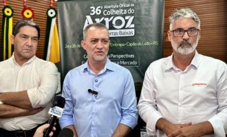 Conab anuncia mais R$ 73,6 milhões para apoiar produtores de arroz