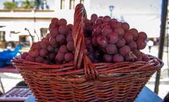 Aberta a Feira Municipal da Uva