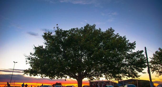 Quarta-feira tem Luau Acústico Bandas Gaúchas no Laranjal
