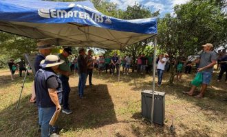 Programa Milho 100% amplia acesso a sementes e apresenta resultados em São Lourenço do Sul