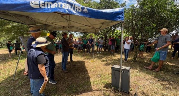 Programa Milho 100% amplia acesso a sementes e apresenta resultados em São Lourenço do Sul