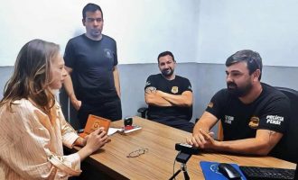 Construção de casinhas para cães comunitários deve ser retomada em Pelotas