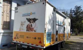 Prefeitura de Pelotas abre cadastro para castrações no Areal Fundos
