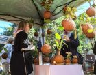 Relação de inscritos no edital da Feira da Praça sai neste sábado (8)