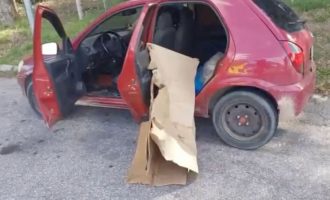 PRF intercepta transporte ilegal de animais e pescado