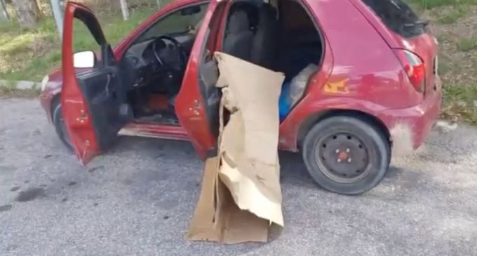 PRF intercepta transporte ilegal de animais e pescado